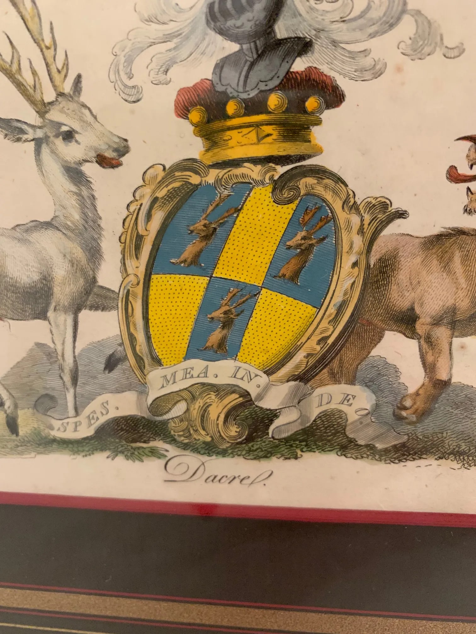 Colored Etchings With Royal Shield Motife -A Pair - 9