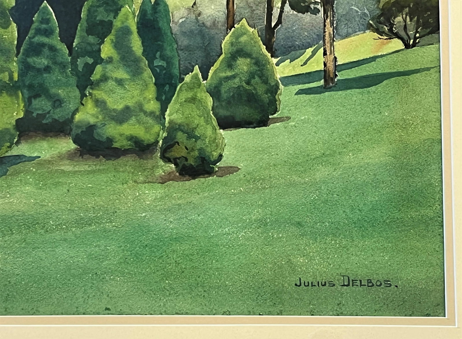 Original Signed Julius Delbos Watercolor Painting Titled 'Dwarf Alberta Spruce' C1943 - 2