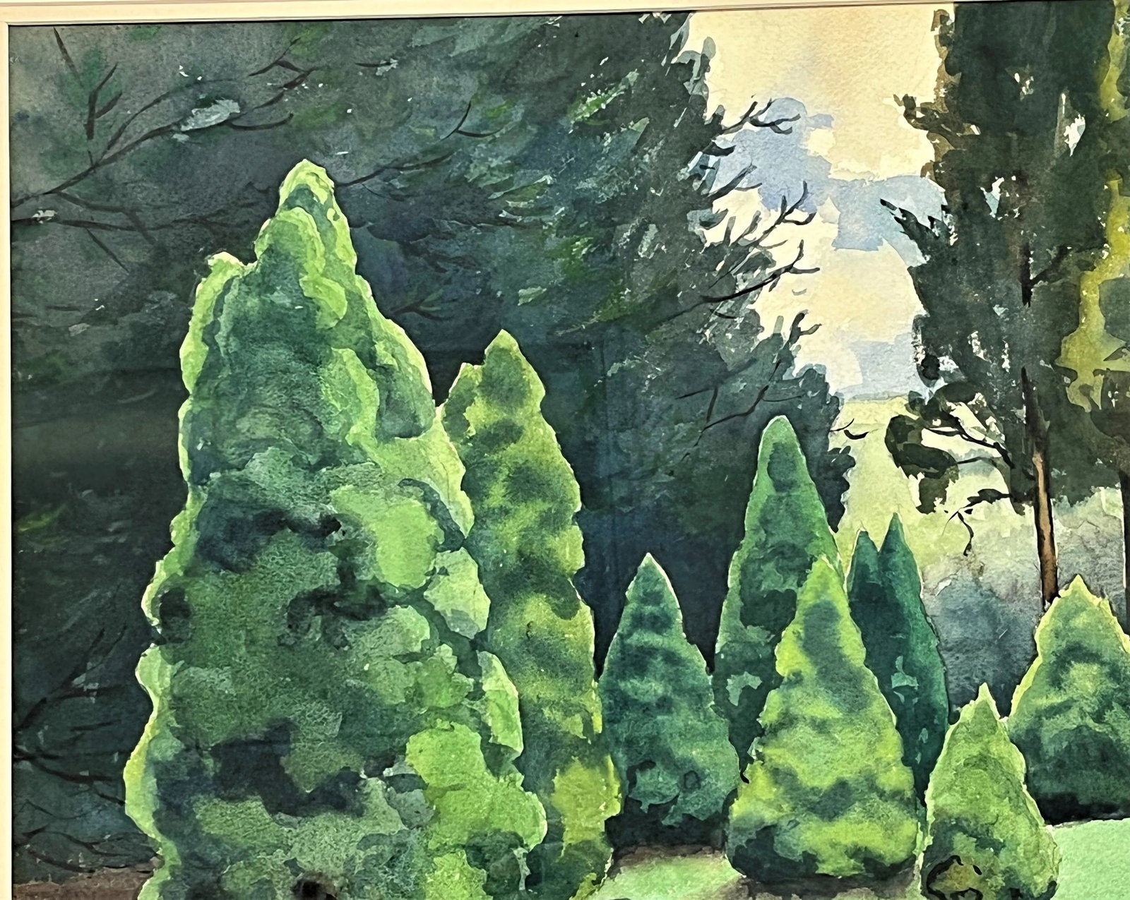 Original Signed Julius Delbos Watercolor Painting Titled 'Dwarf Alberta Spruce' C1943 - 6