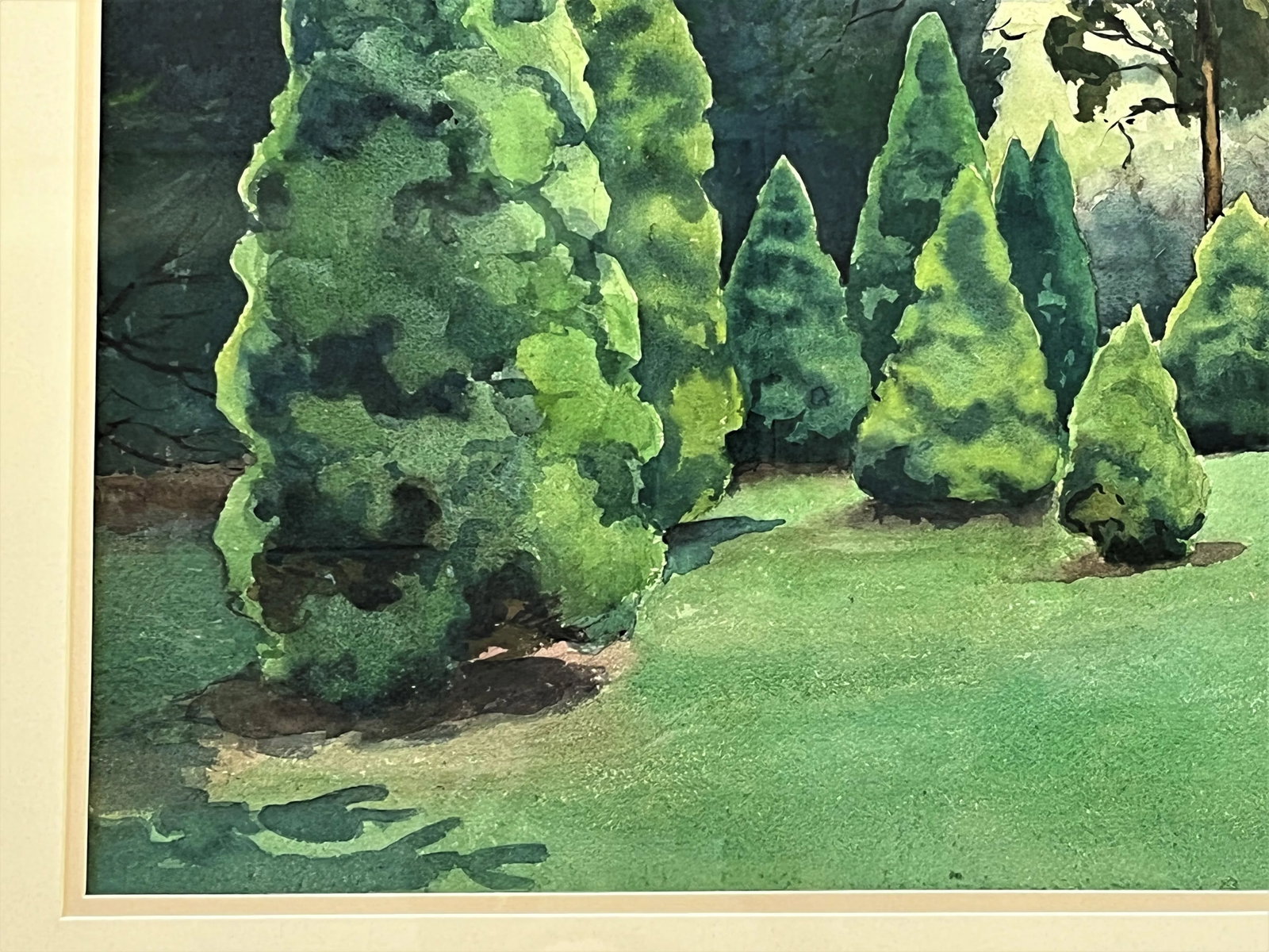 Original Signed Julius Delbos Watercolor Painting Titled 'Dwarf Alberta Spruce' C1943 - 7