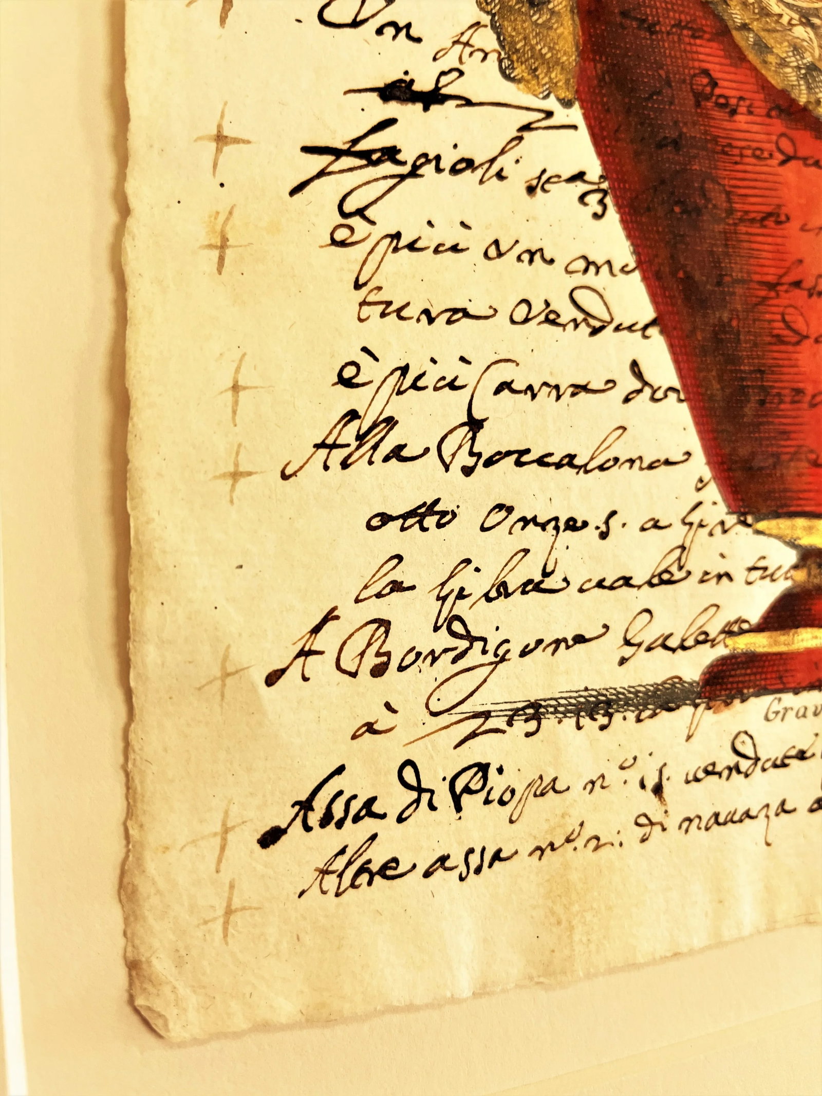 Reproductions of 18th Century Italian Documents With Hand Colored Urn and Lion Etchings- a Pair - 8