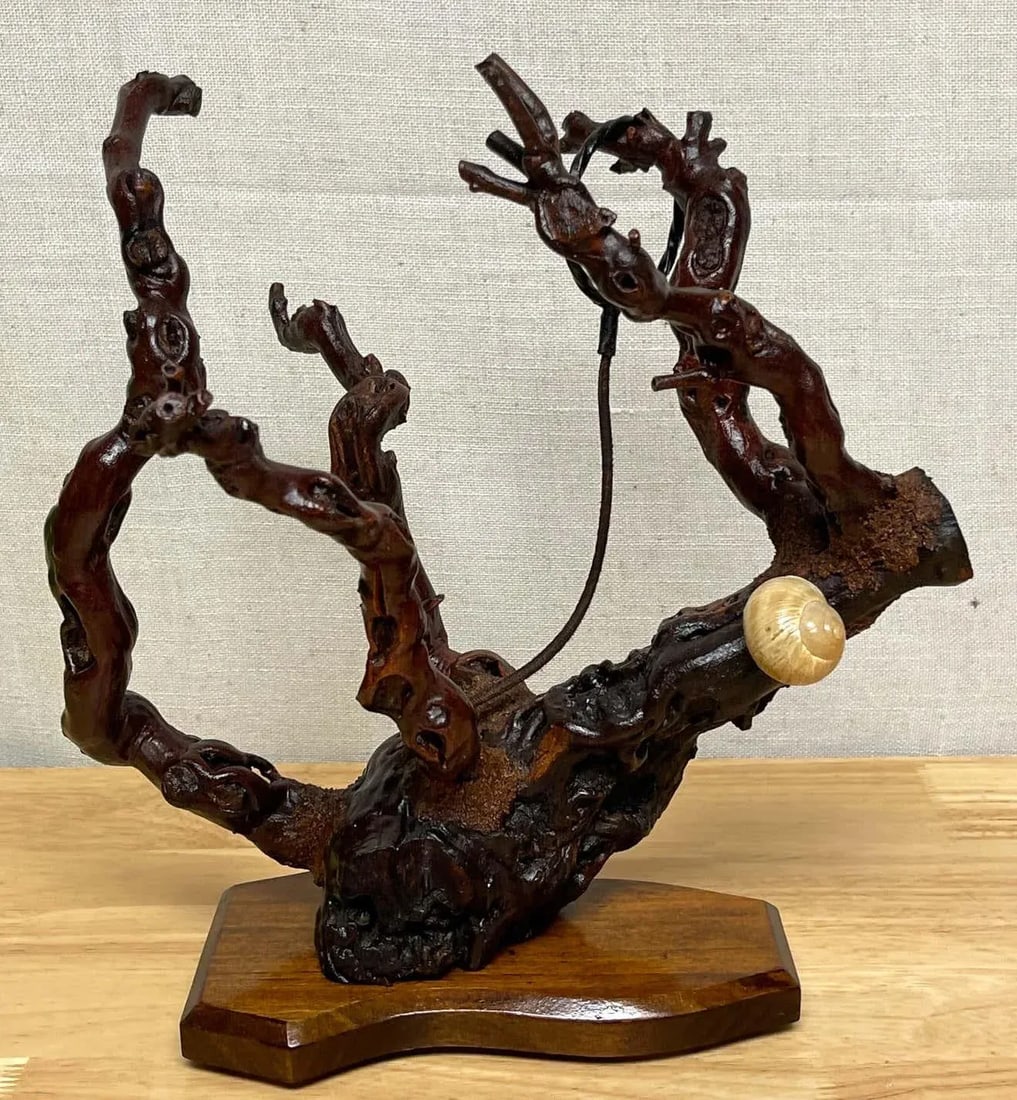 1960s French Modern Natural Grapevine "šÃ„Ã²Coral"šÃ„Ã - 12