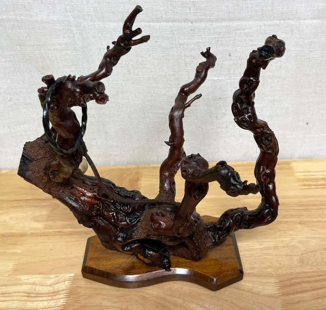 1960s French Modern Natural Grapevine "šÃ„Ã²Coral"šÃ„Ã - 4