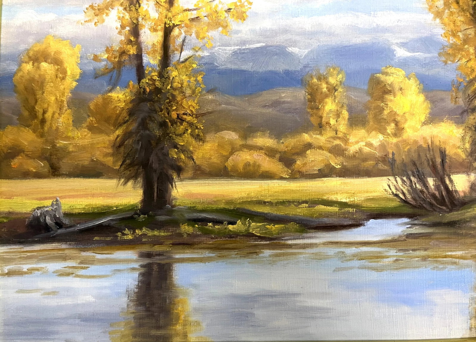 Ruth Rawhouser (Wyoming, Present) Signed Original Oil Painting on Board "September Cottonwoods" Circ - 3