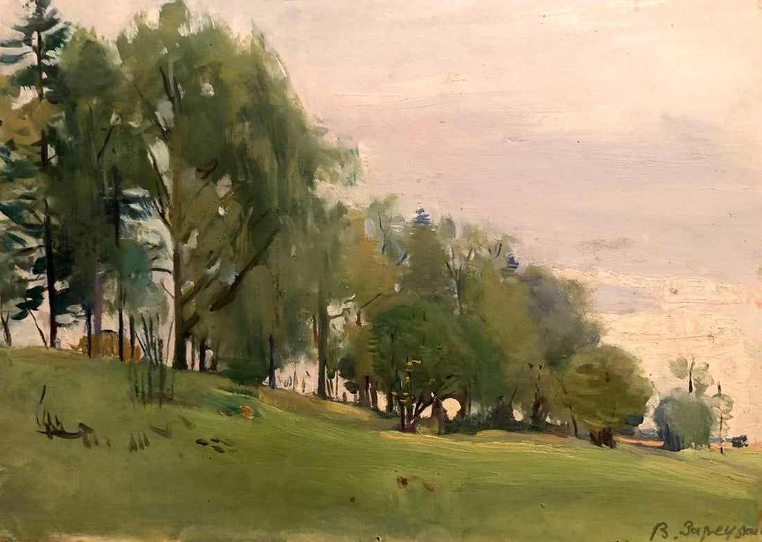 Oil painting Forest landscape Zaretskyi Viktor: Title: Oil painting Forest landscape Zaretskyi Viktor Description: NoGS 277 *** ABOUT THIS PAINTING *** * TITLE: "Forest landscape" * ARTISTS: Zaretskyi Viktor * SIZE: 25x35 cm/'9.84x13.77 inches' * M