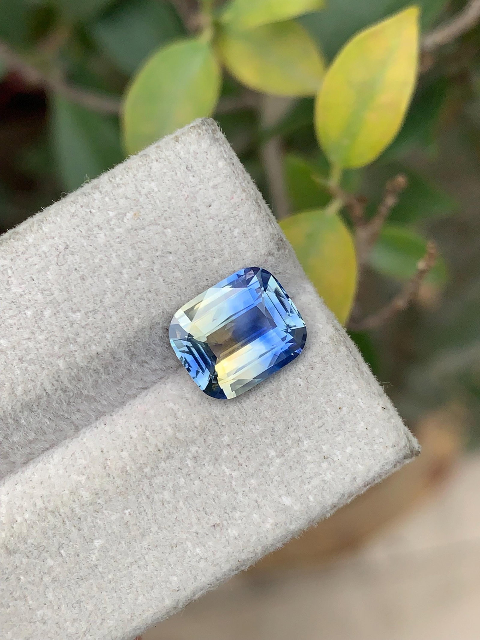 3 Carat No Heat Bi Color Ceylon Sapphire, Cushion Cut Blue & Green Sapphire Stone