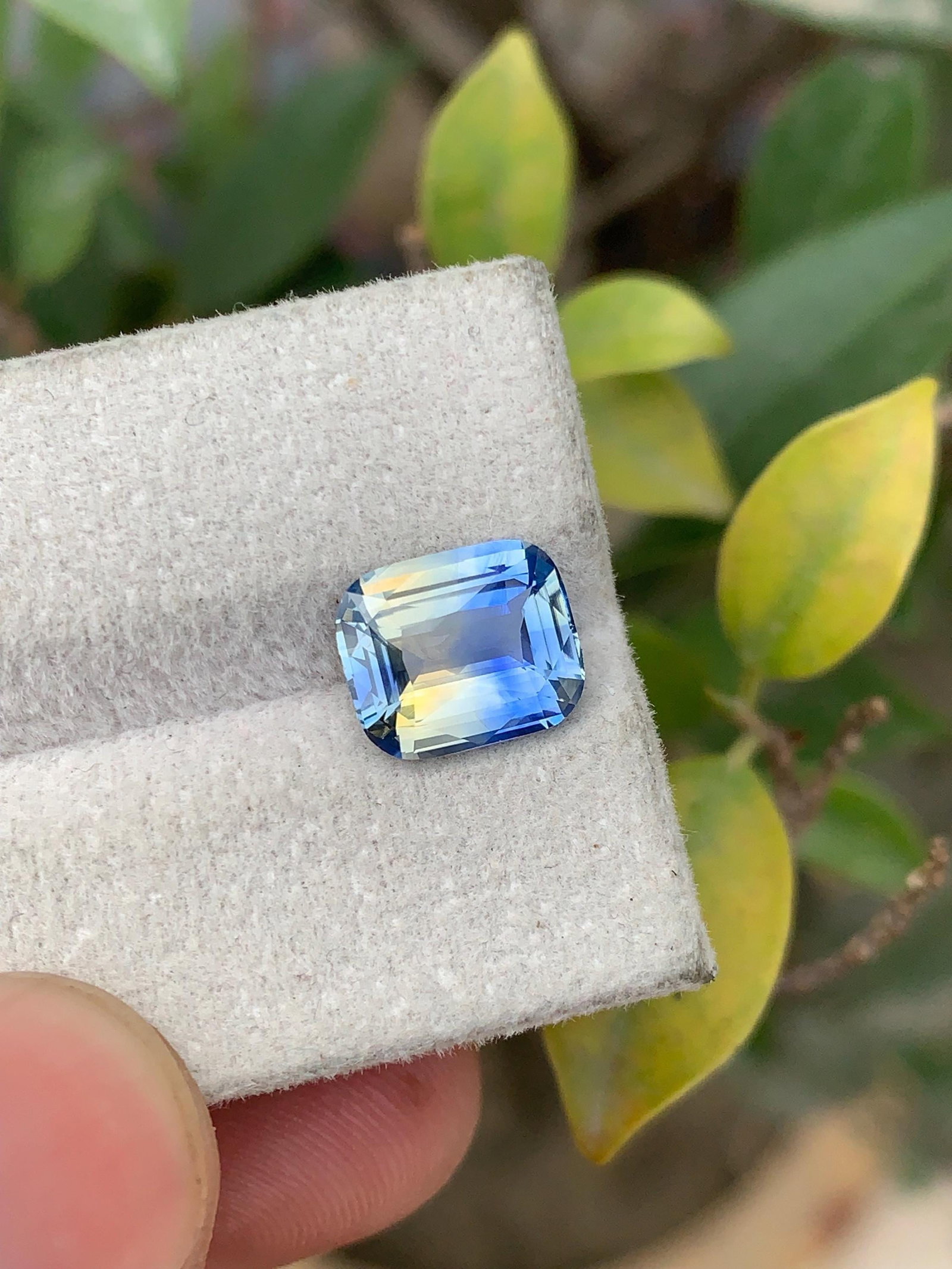3 Carat No Heat Bi Color Ceylon Sapphire, Cushion Cut Blue & Green Sapphire Stone - 2