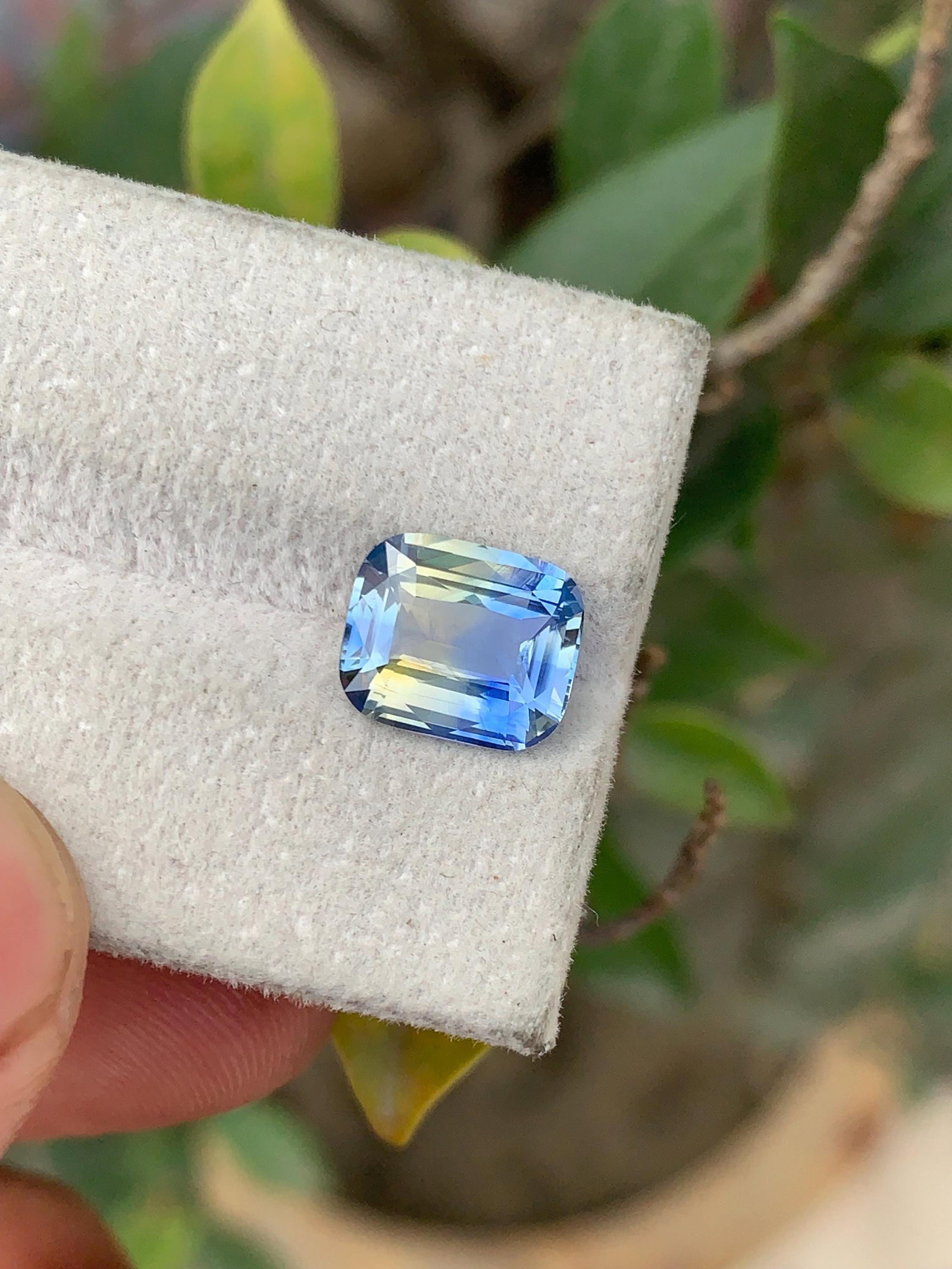 3 Carat No Heat Bi Color Ceylon Sapphire, Cushion Cut Blue & Green Sapphire Stone - 5