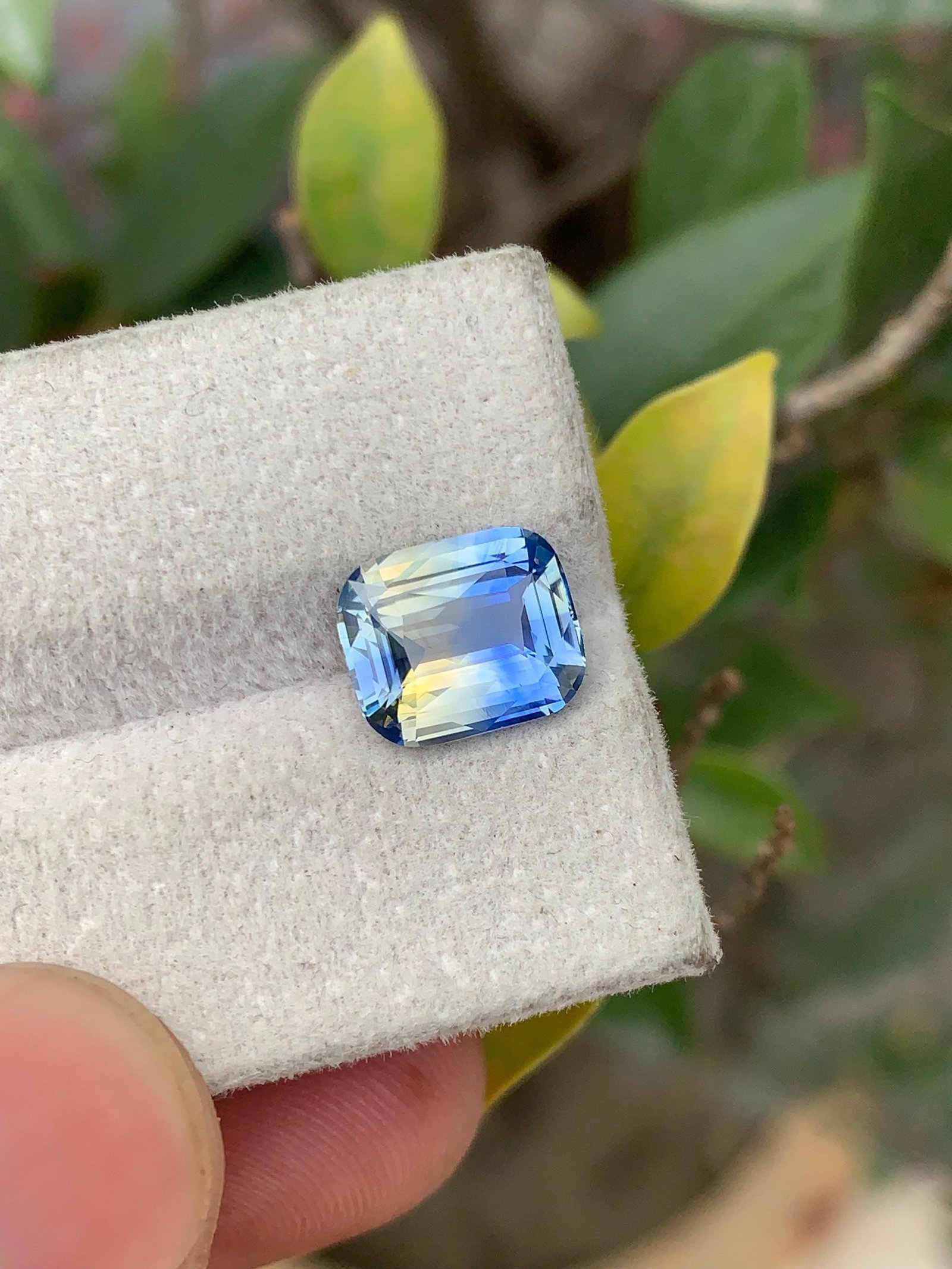 3 Carat No Heat Bi Color Ceylon Sapphire, Cushion Cut Blue & Green Sapphire Stone - 7