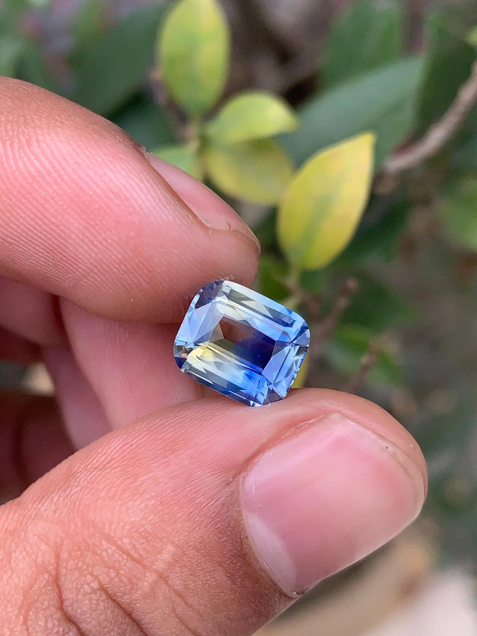 3 Carat No Heat Bi Color Ceylon Sapphire, Cushion Cut Blue & Green Sapphire Stone - 8