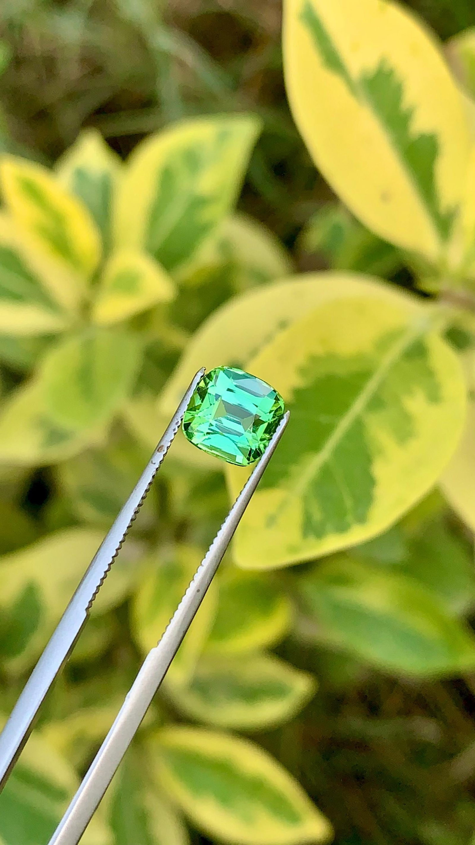 Natural Green Tourmaline Cushion Cut Gemstone For Wedding Ring - 2.090 Carat: Weight : 2.090 Carat Dimensions : 6.8*6.8*5.9 MM Shape : Cushion Cut Clarity : Eye Clean Color : Mint Green ( Jaba Green ) Treatment : None Origin : Afghanistan Hardness : 7.5-8 Family : Elbaite SKU