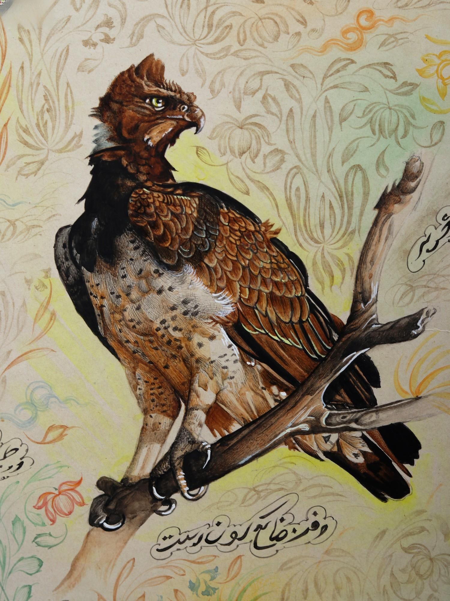 Martial Eagle (Polemaetus Bellicosus) - 2