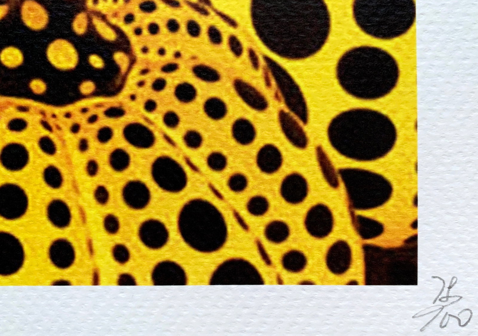 Death NYC Banksy Kusama - 3