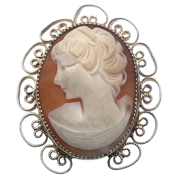 Vintage Ornate Gold Tone Shell Cameo Brooch (1 of 6)