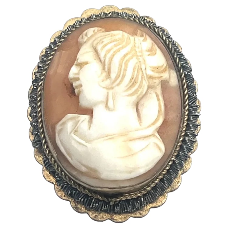 Vintage Left- Facing Shell Cameo with Scalloped Edge Brooch/Pendant (1 of 5)