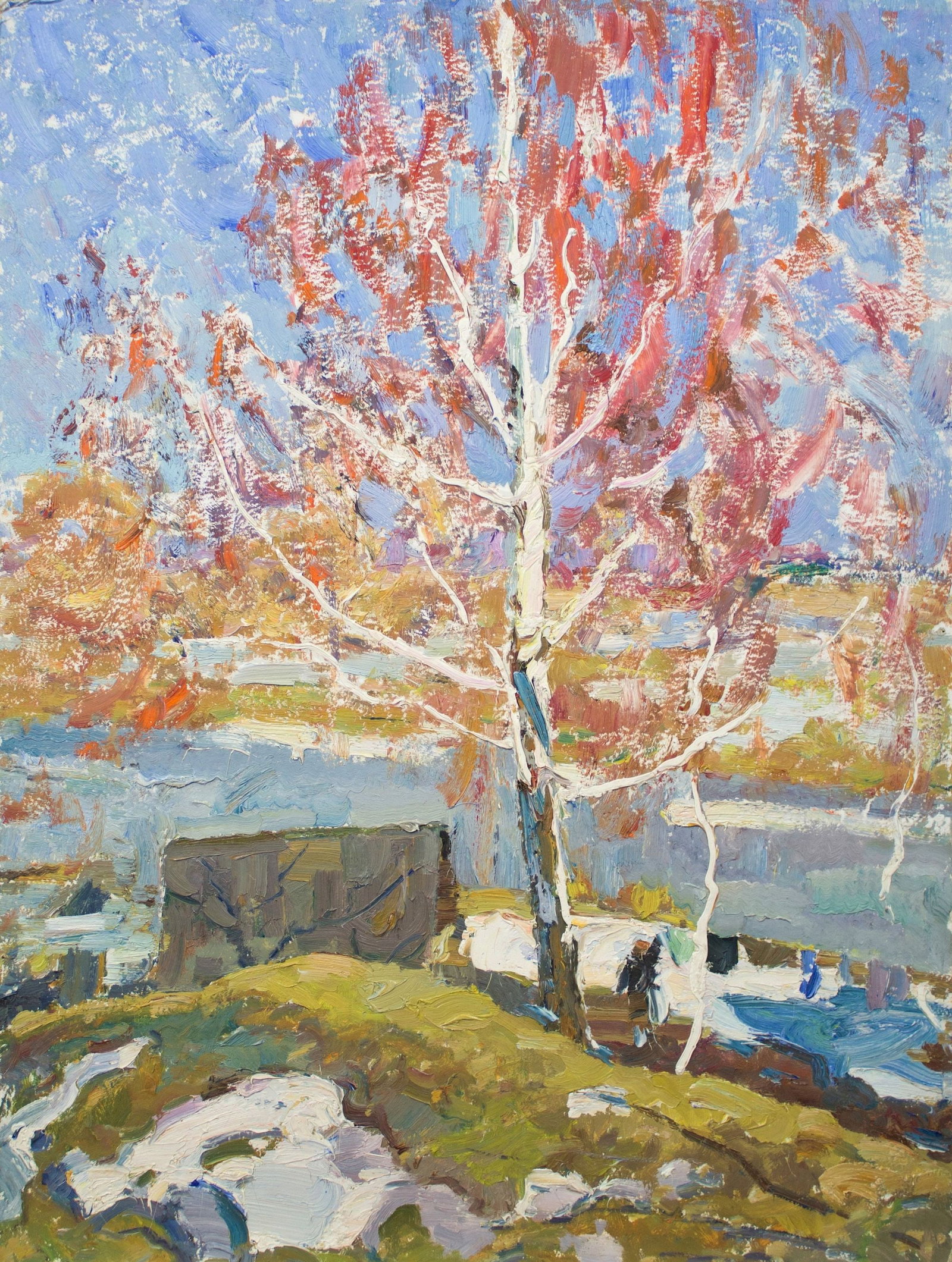 Sevastyanov Victor (Ukrainian artist), "Red birch", oil on cardboard: Title: Sevastyanov Victor (Ukrainian artist), "Red birch", oil on cardboard Description: ARTIST: Sevastyanov Victor Grigorovich, Ukrainian artist TITLE: "Red birch" SIZE: 86 x 65 cm, (33 3/4 x 25 2/4 