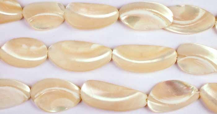 Trochid Shell Beads / Semi-Precious Gemstone Drops (1 of 1)