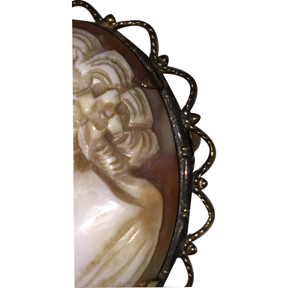 English Shell Carved Cameo Gold Plated Filigree Frame of Woman's Profile - 4