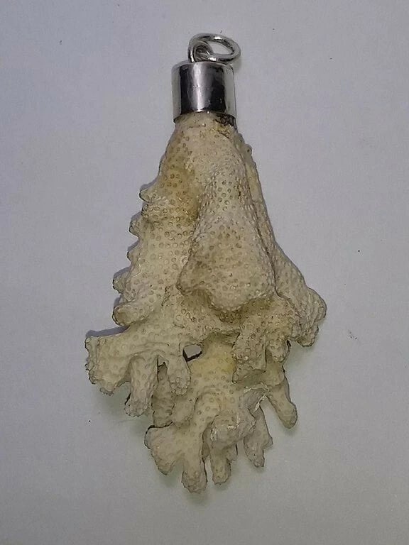 Alberto Juan Hand Made White Branch Coral Sterling Silver Pendant (1 of 6)