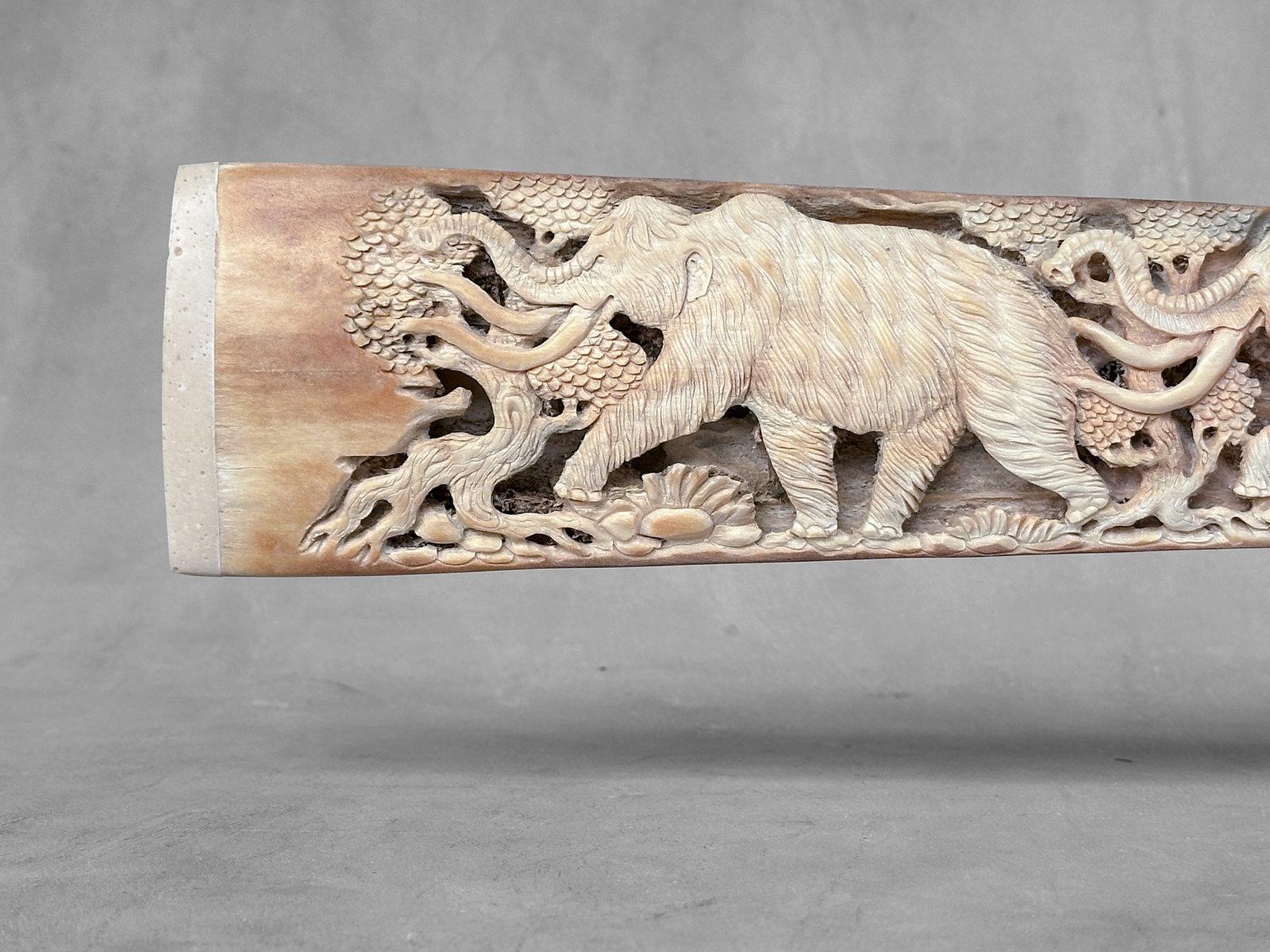 Large engraved Swordfish rostrum - Prehistoric Woolly Mammoth Scene - 5
