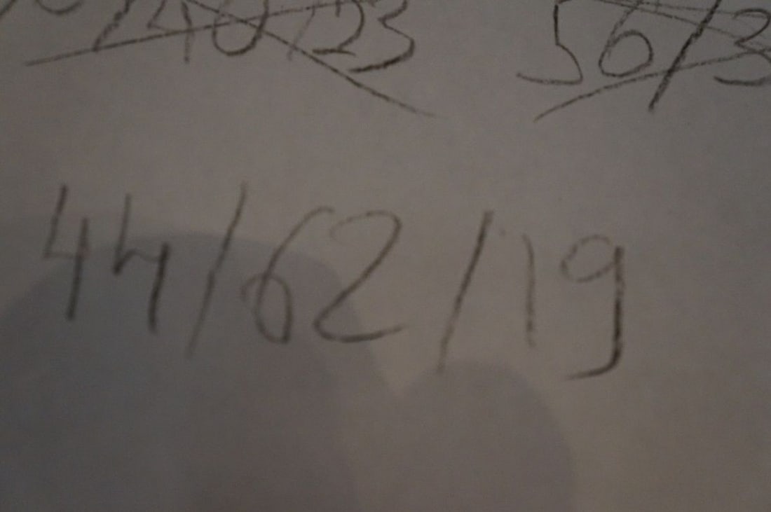 France Bronze sculpture of a bull mid 19th century - 19