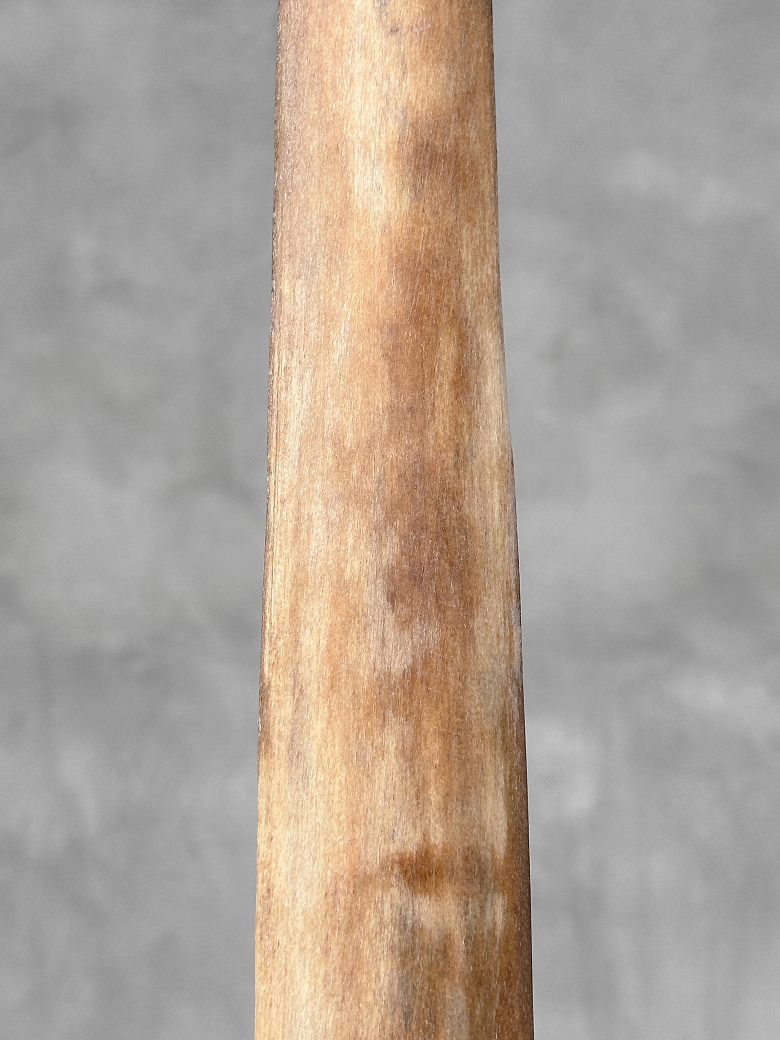 Swordfish tusk with stand - 6