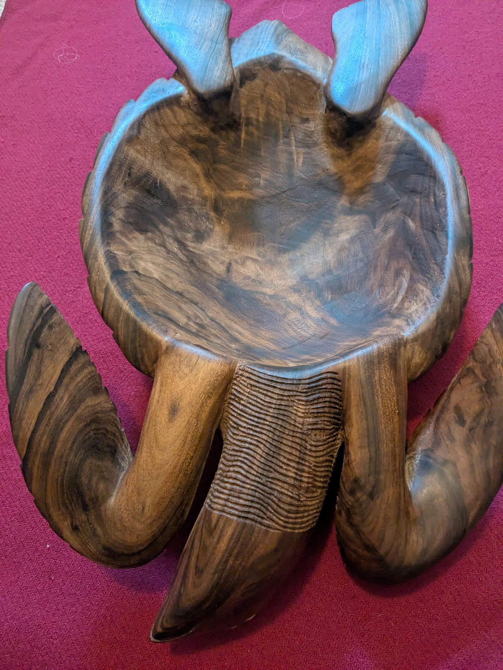 Elegant Carved Turtle - 3
