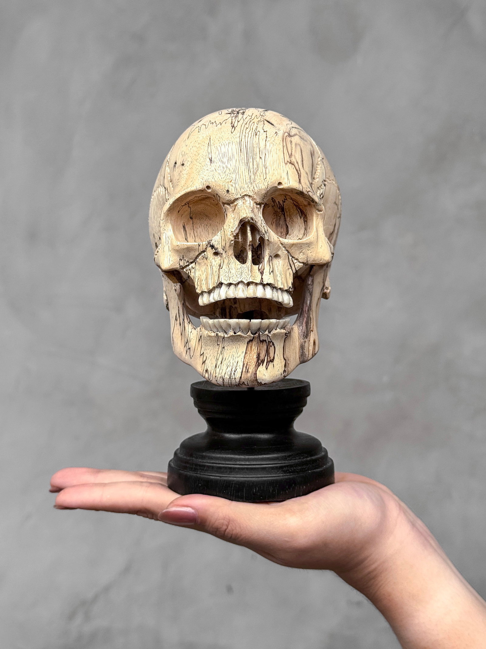 Wonderful human skull with a beautiful grain on a custom stand - 2