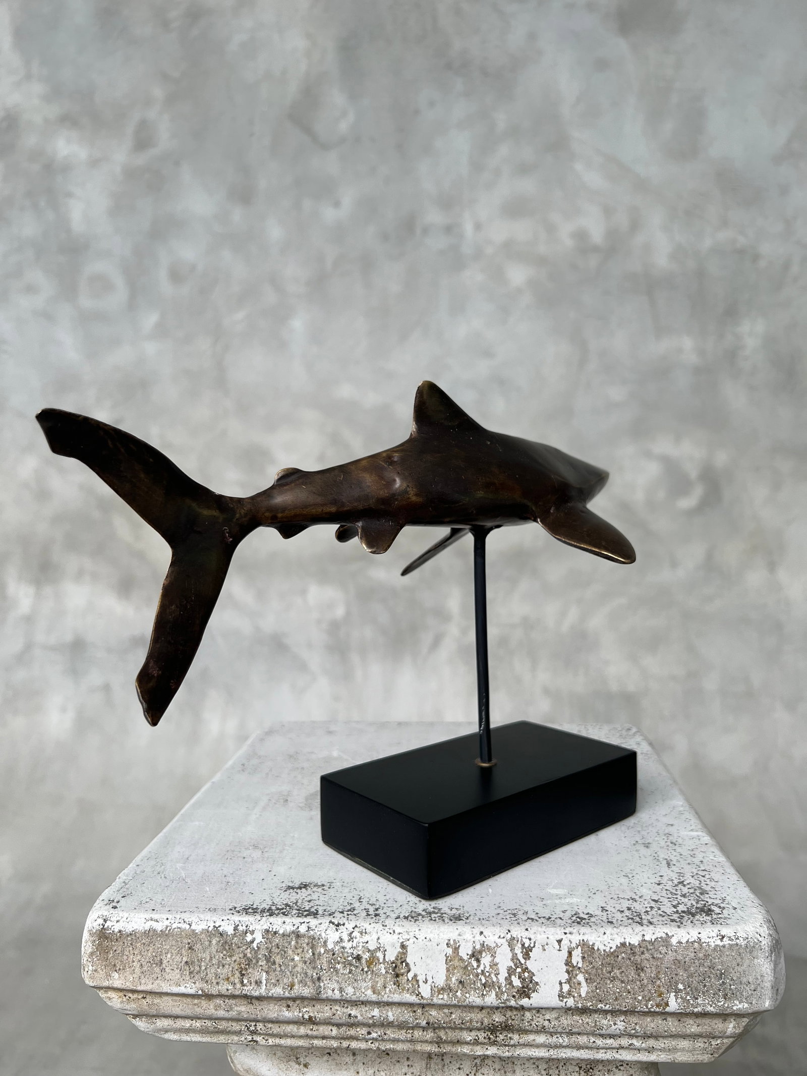 Bronze Polished Great White Shark - 2