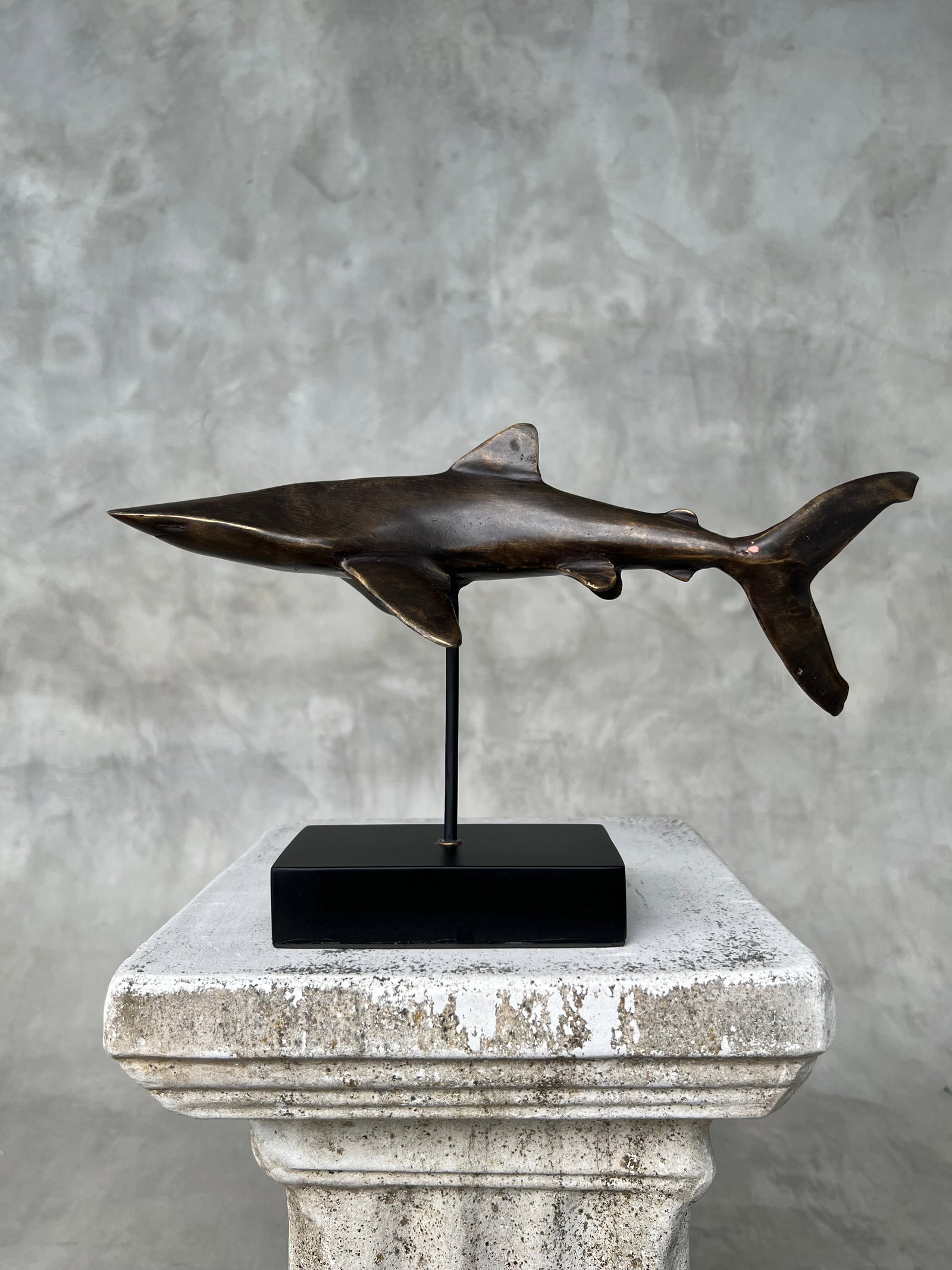 Bronze Polished Great White Shark - 3