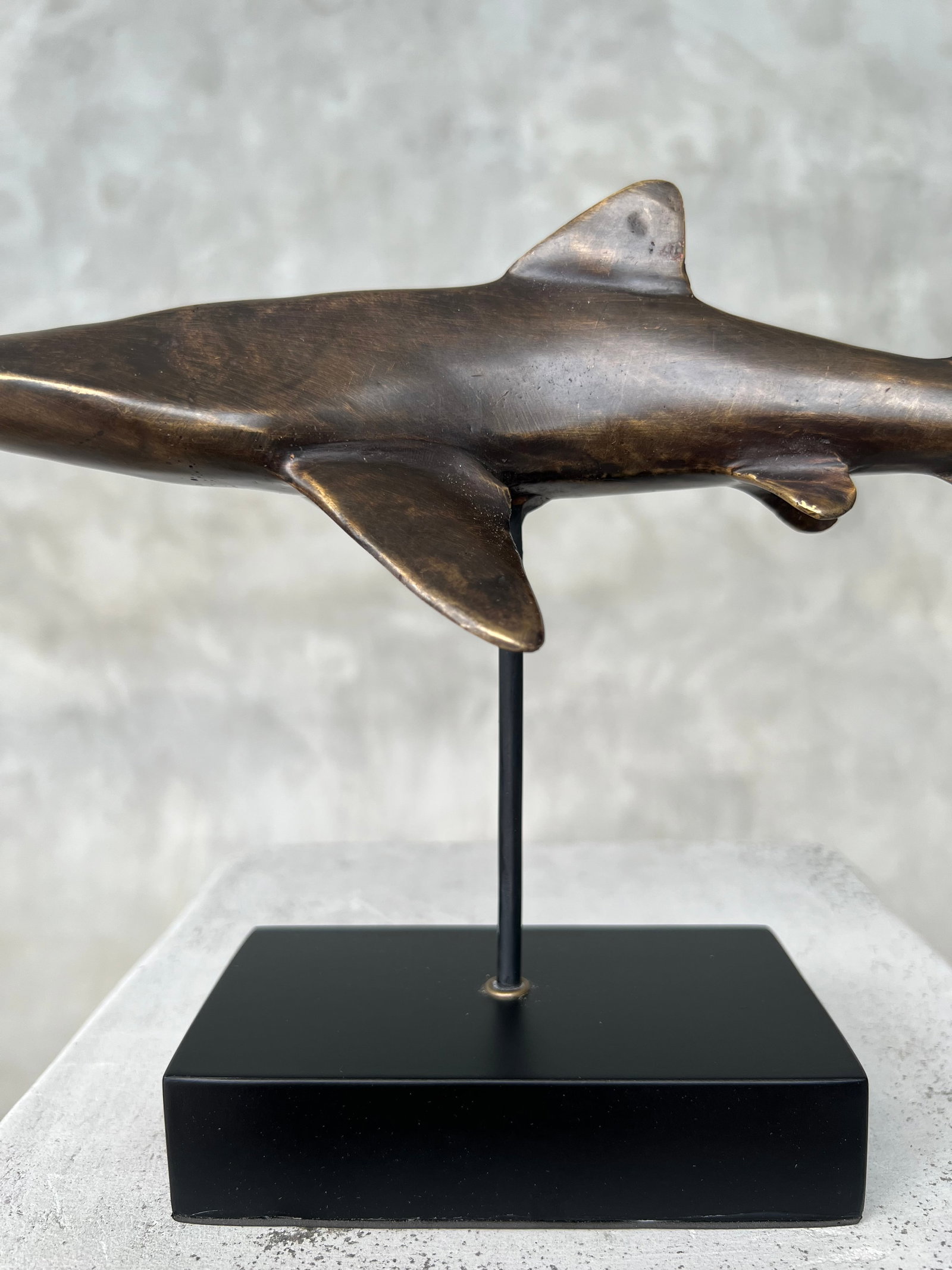Bronze Polished Great White Shark - 4