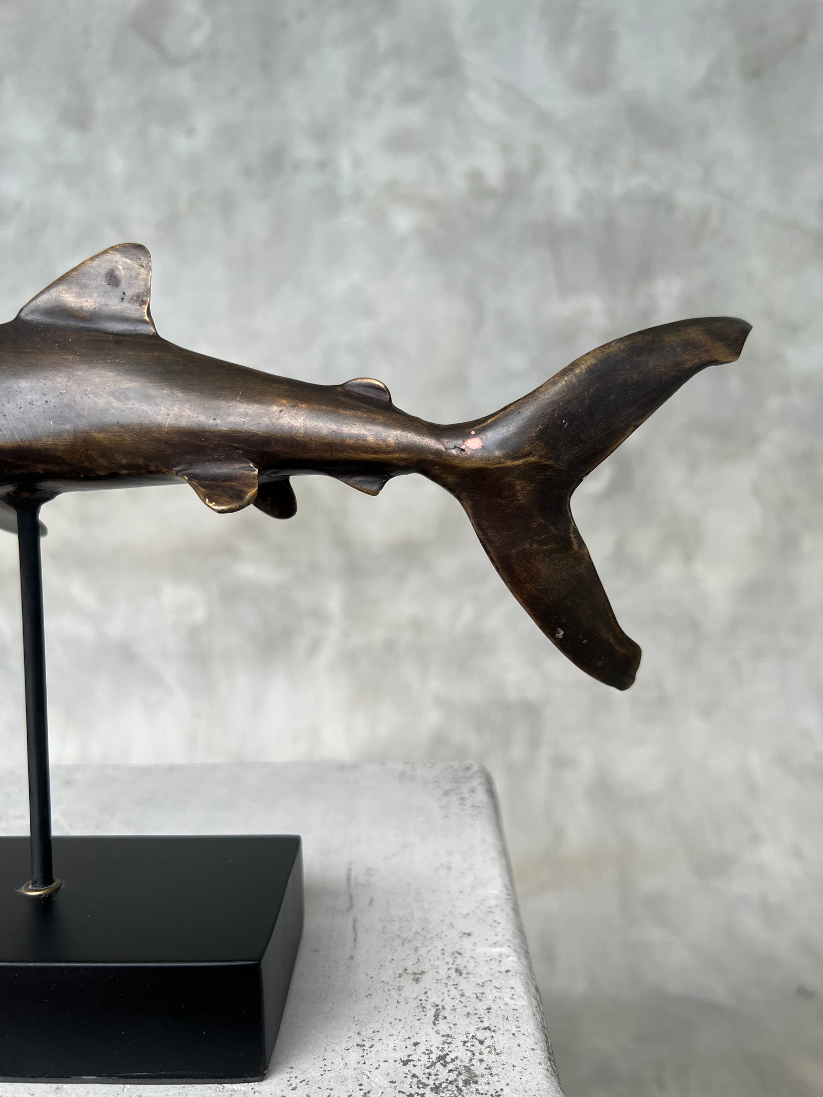 Bronze Polished Great White Shark - 5