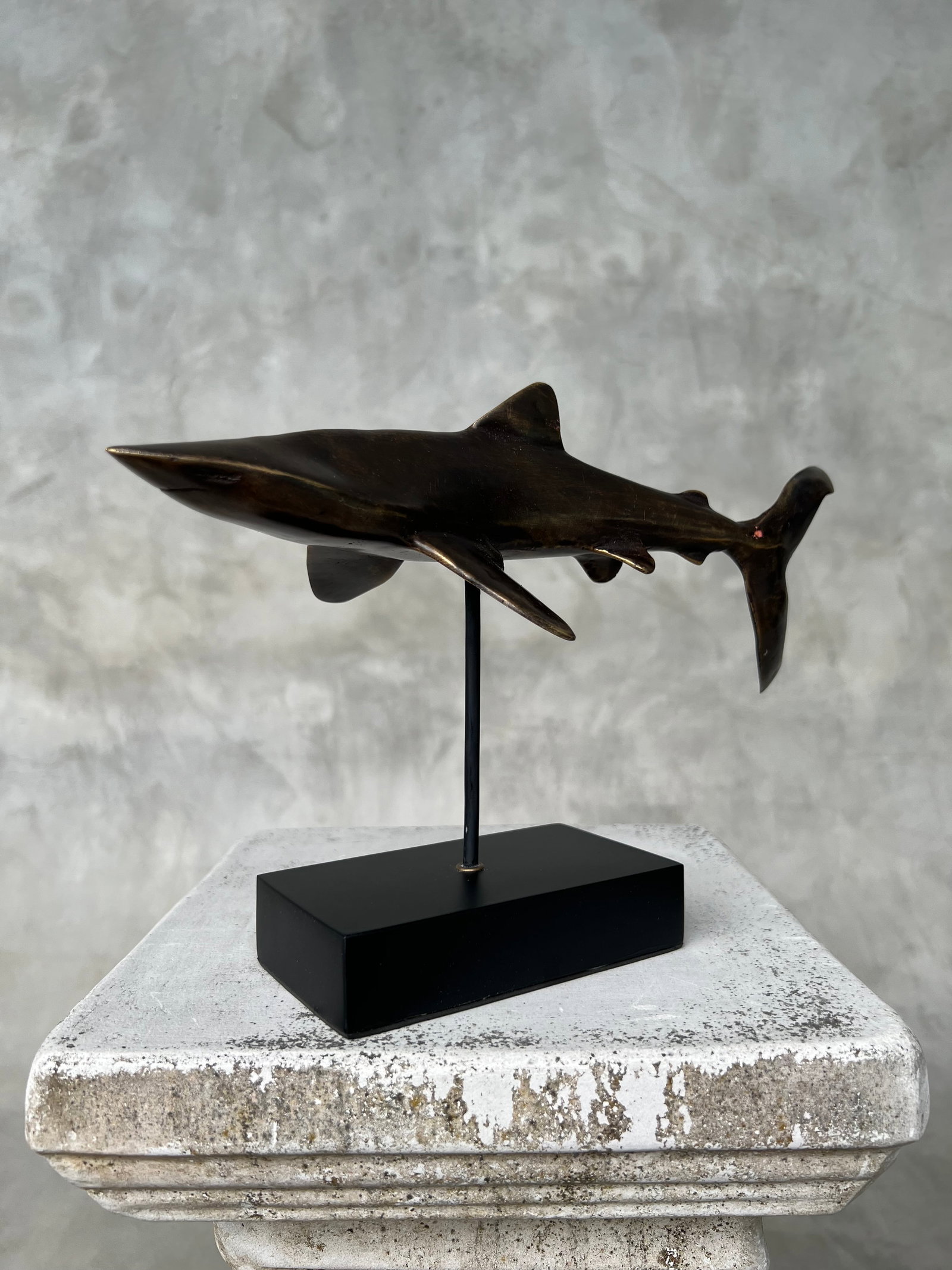 Bronze Polished Great White Shark - 6