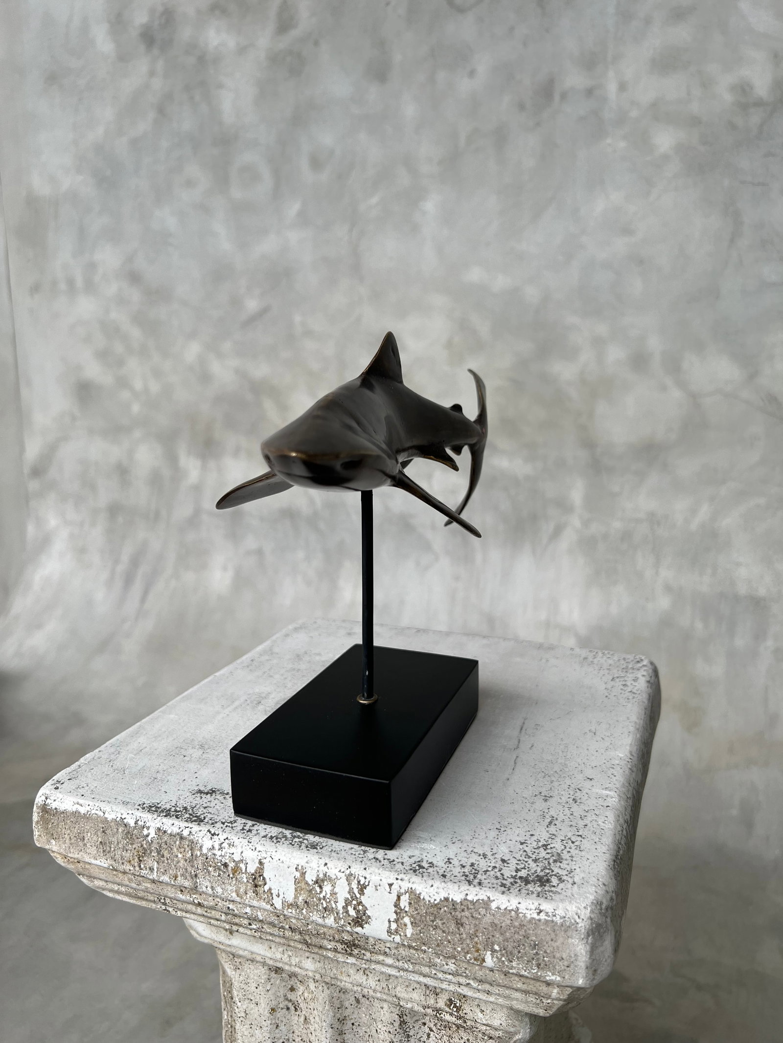 Bronze Polished Great White Shark - 7