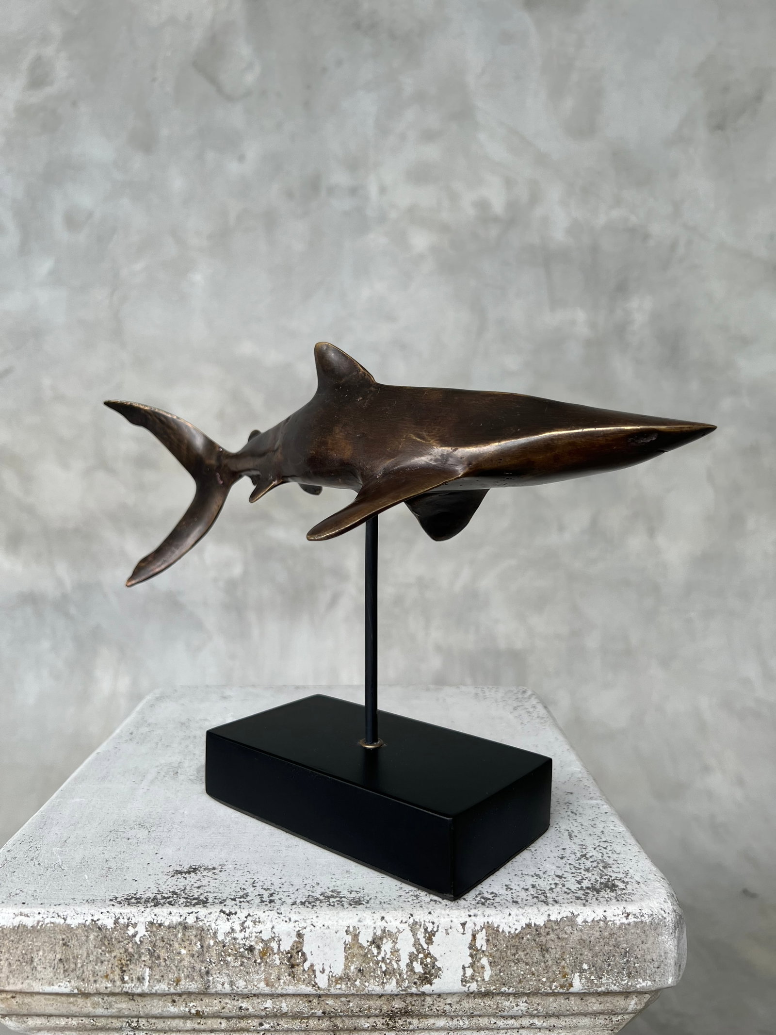 Bronze Polished Great White Shark - 8