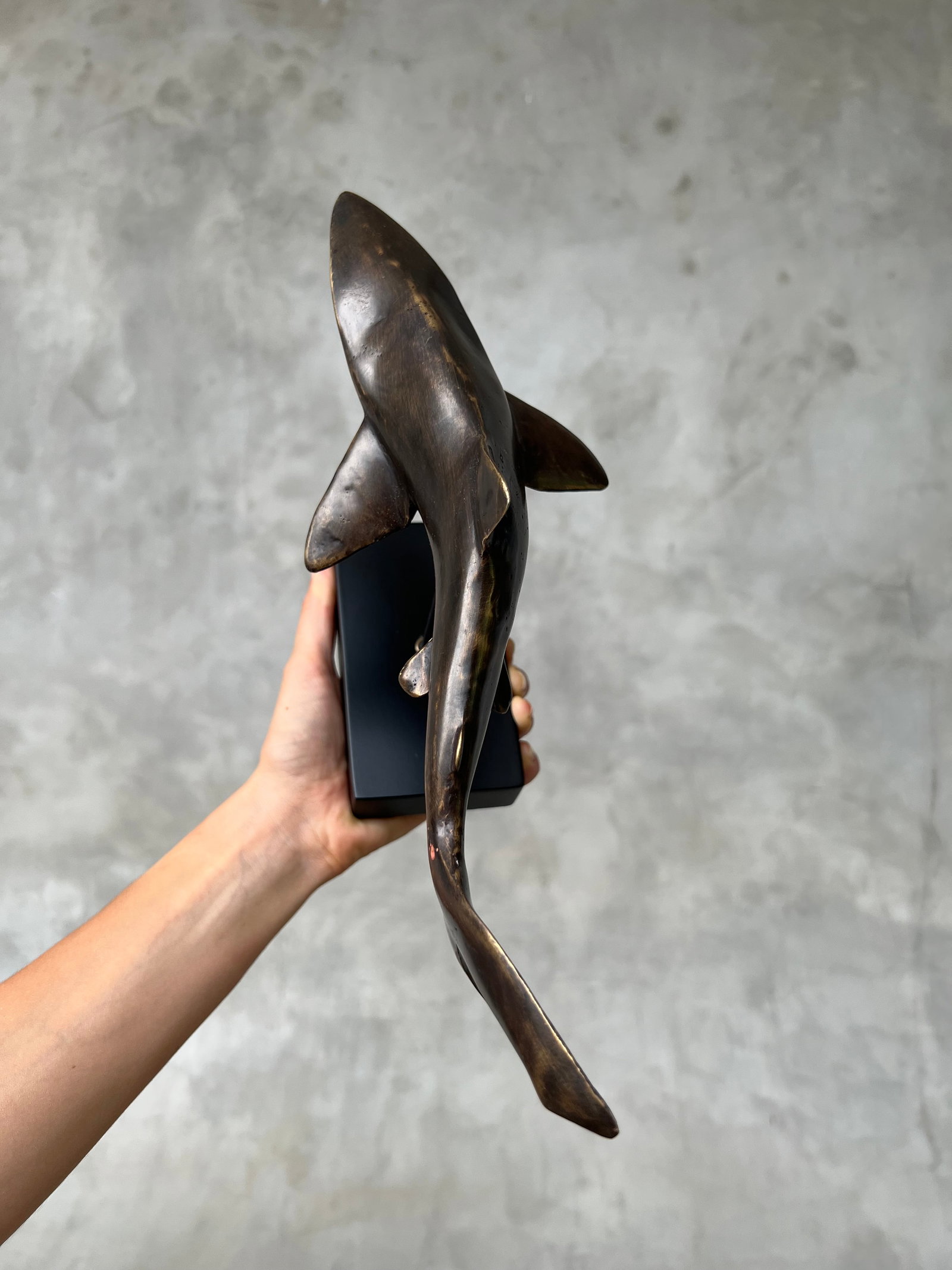Bronze Polished Great White Shark - 9
