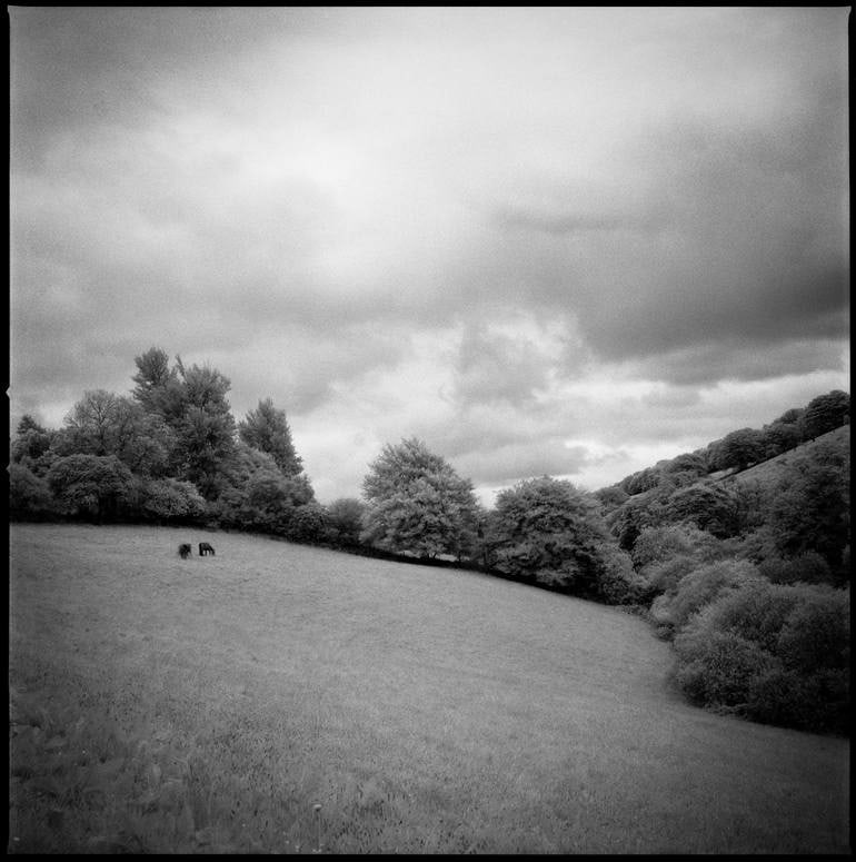 Edition 2/10 - Woodland, Tarr Steps, Exmoor ( Infrared Film) Photograph (1 of 3)