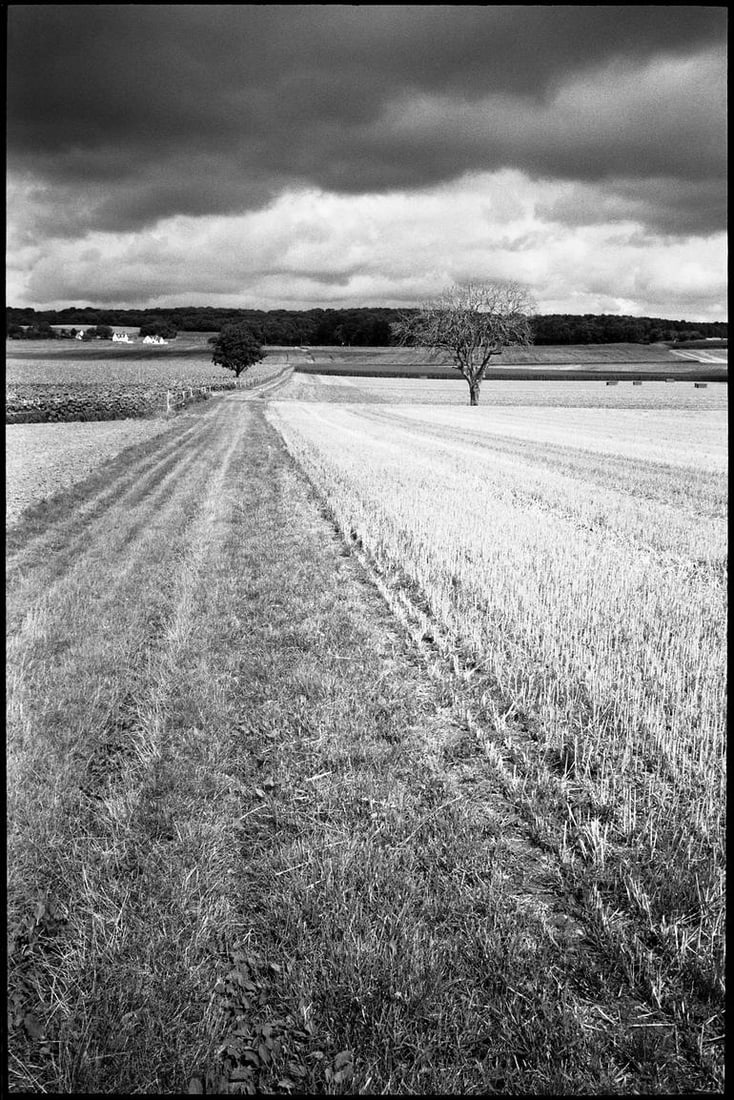 Edition 3/10 - Crop Field, Couziers, Loire Valley, France Photograph (1 of 3)
