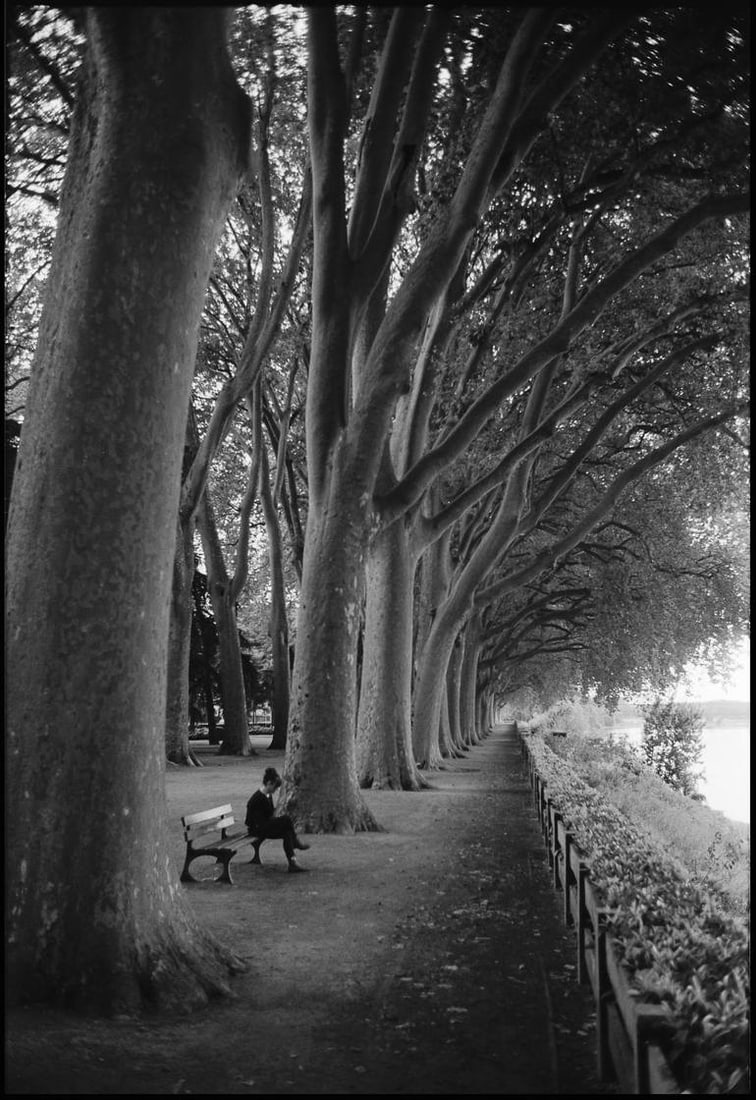 Edition 6/10 - Treeline, Chinon, France - Silver Gelatin Photograph (1 of 3)