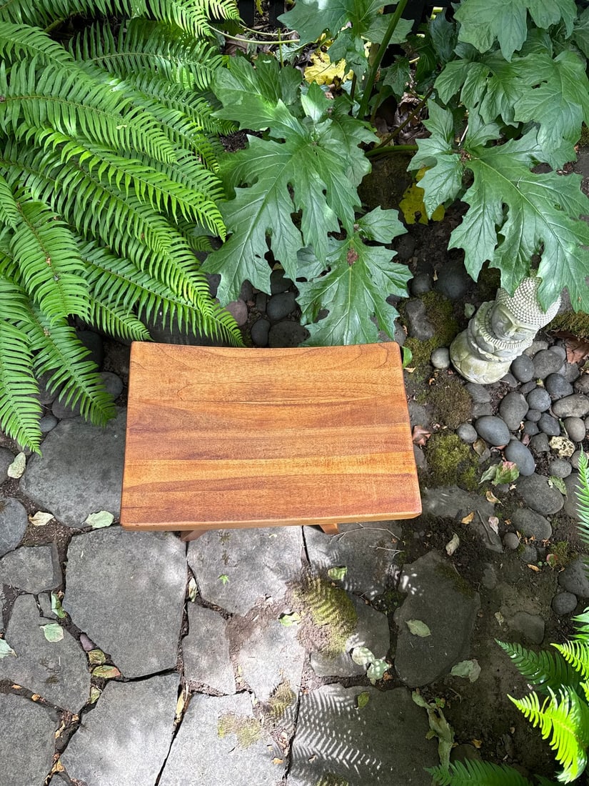 Modern Zen Teakwood Shower Stool - 2
