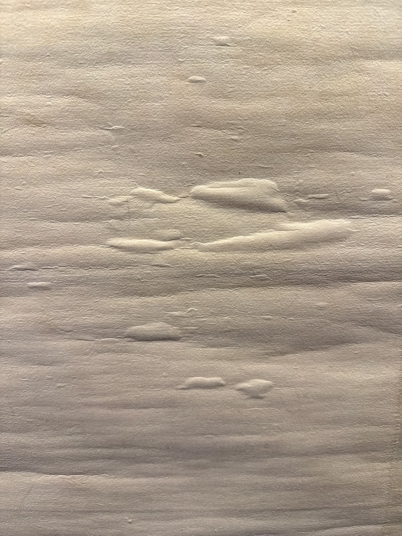 Hand-Painted Japanese Hanging Scroll (Kakejiku) in Ink on Paper with Calligraphy and Seal - 7