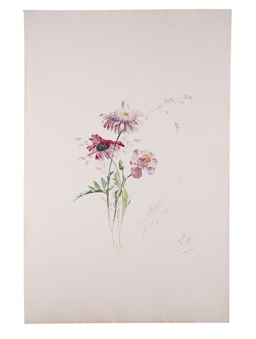FRENCH aquarellist painting of flowering daisy bis Henri Adam 1890 (1 of 2)