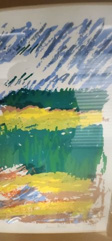 Diane Decosse Ltd Edition signed impressionist lithograph of coastal landscape. 24"x 18" Signed '84. - 2