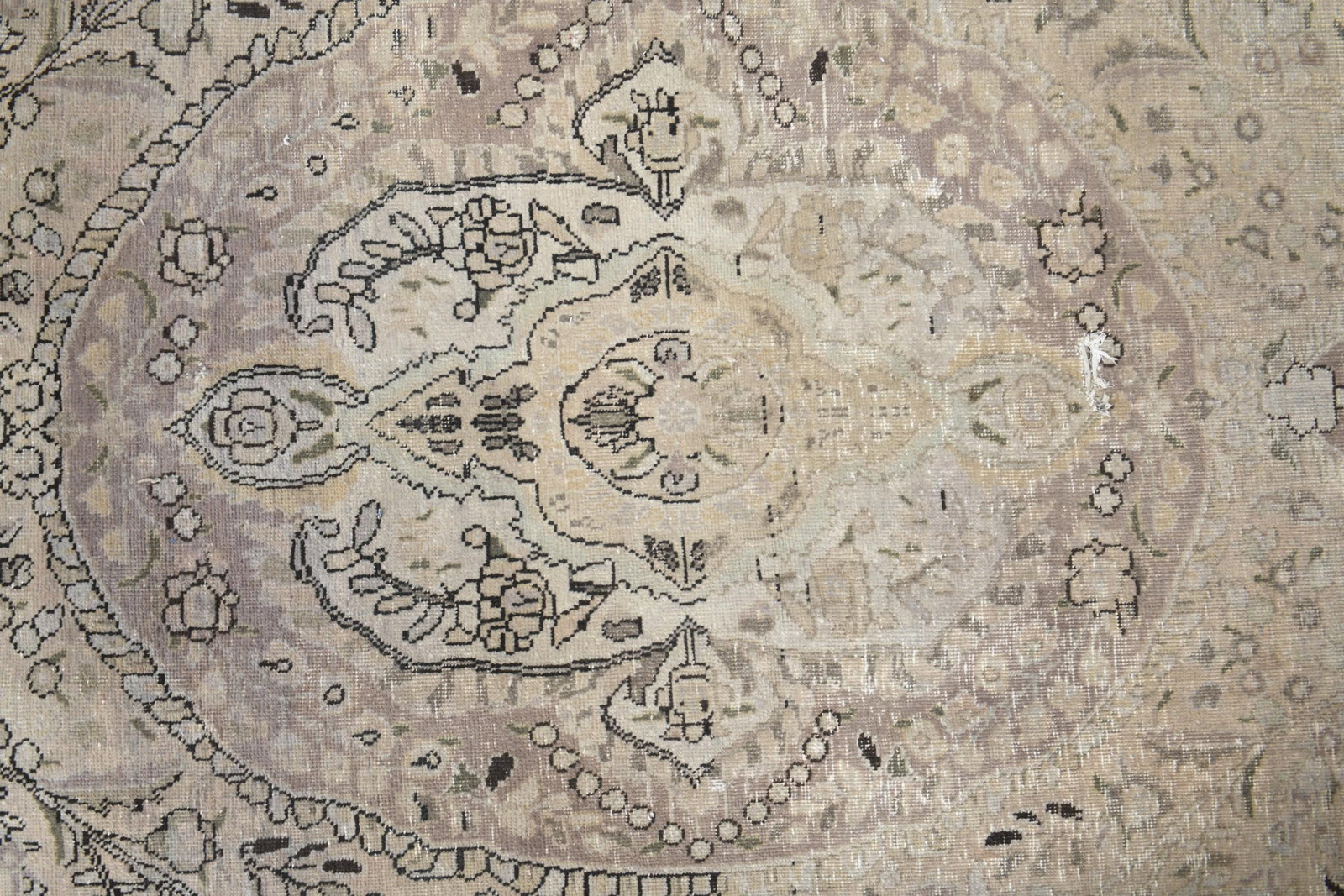 8x11'5 ft, PERSIAN MINIMALIST RUG - 5