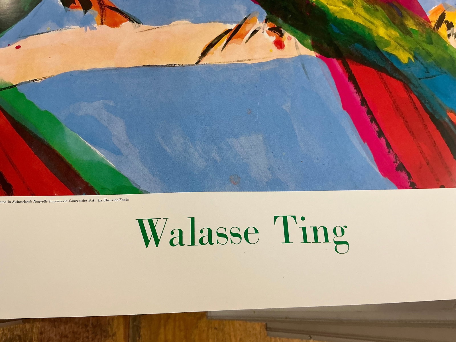 Walasse Ting - Parrots - 1990 Offset Lithograph 29.5" x 46" - 7
