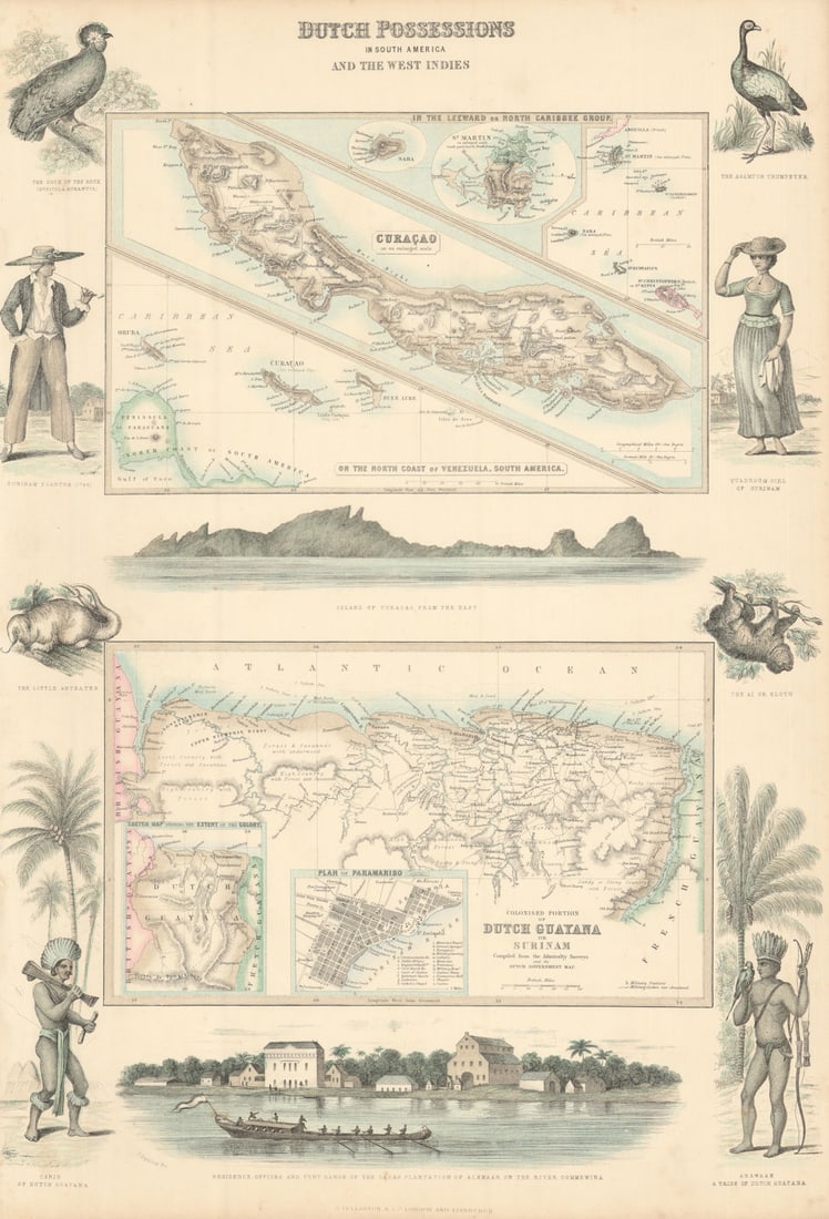 Dutch West Indies & South America. Curaçao Guyana Surinam St. Martin c1863 map: Title: Dutch West Indies & South America. Curaçao Guyana Surinam St. Martin c1863 map Description: Dutch Possessions in South America and the West Indies. 1. Curacao. Colonised Portion of Dutch G