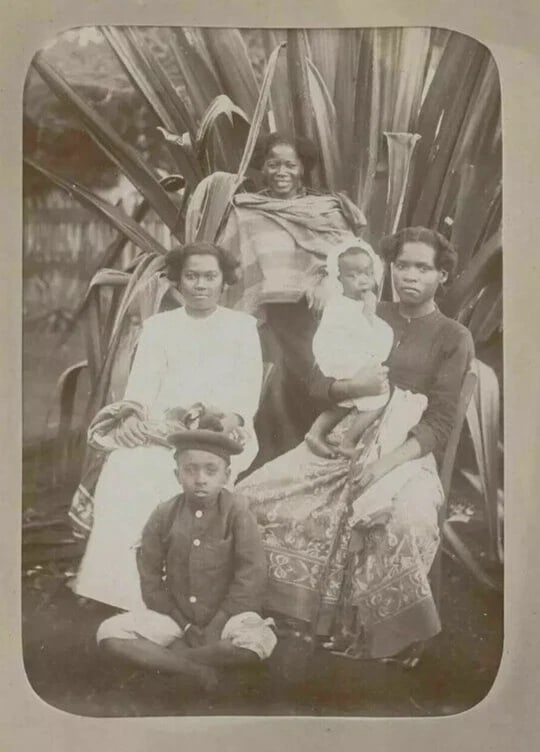 Malagasy Family, Madagascar - Albumen Vintage Photographs c. 1900 - 7