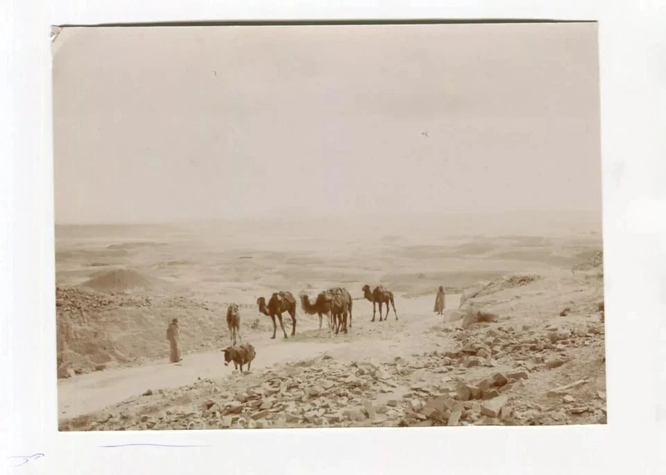 Photographs Orientalism Algeria, Mosque, Mountain, People x12 - 5