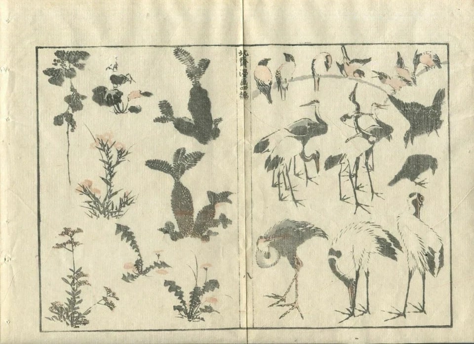 Antique Japanese WoodPrint Rooster, Birds, Samurai c. 1890 Art Prints x7 - 4