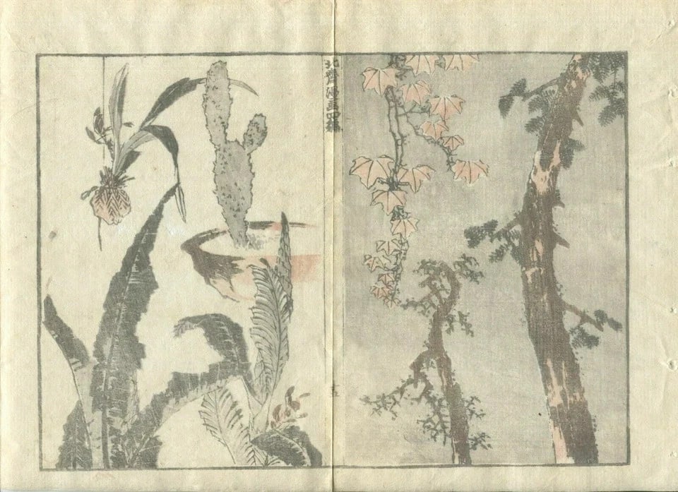 Antique Japanese WoodPrint Rooster, Birds, Samurai c. 1890 Art Prints x7 - 8